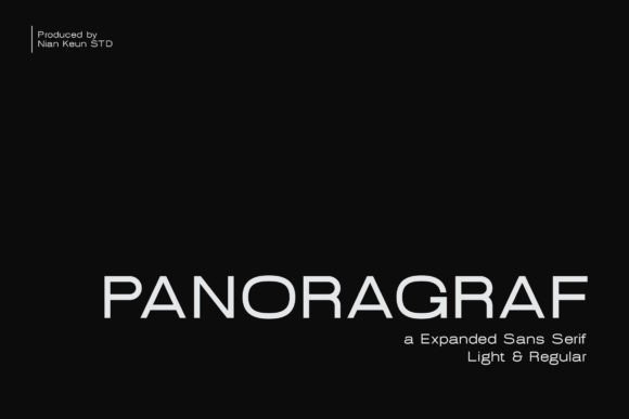 Panoragraf: A Font for Business Brilliance